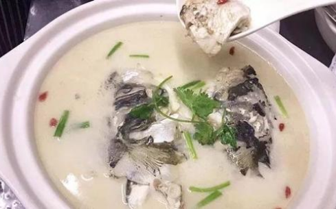 成都培訓(xùn)魚(yú)頭豆腐湯哪家味道好