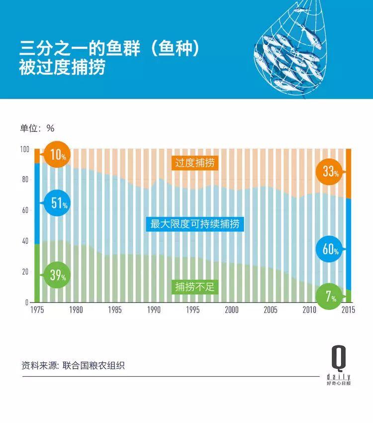 1/3 的魚類正被人過度捕撈，而同時撈上來的又有 1/3 被丟棄