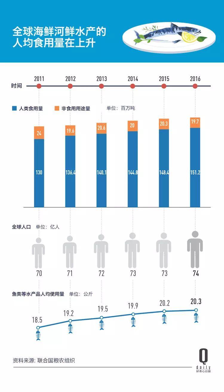 1/3 的魚類正被人過度捕撈，而同時撈上來的又有 1/3 被丟棄