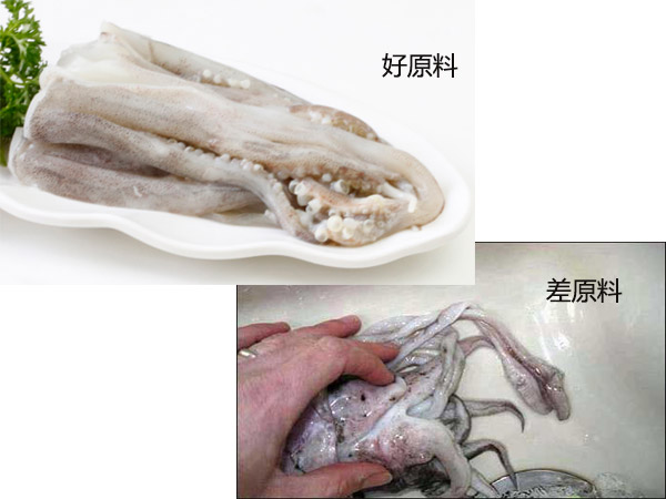 賣鐵板魷魚一天能掙多少錢