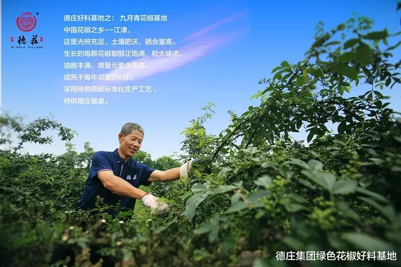 食品安全問題頻發(fā)，這家火鍋餐企憑啥突出重圍？