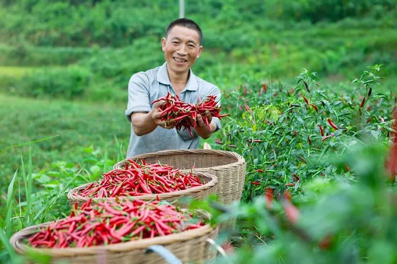 食品安全問題頻發(fā)，這家火鍋餐企憑啥突出重圍？